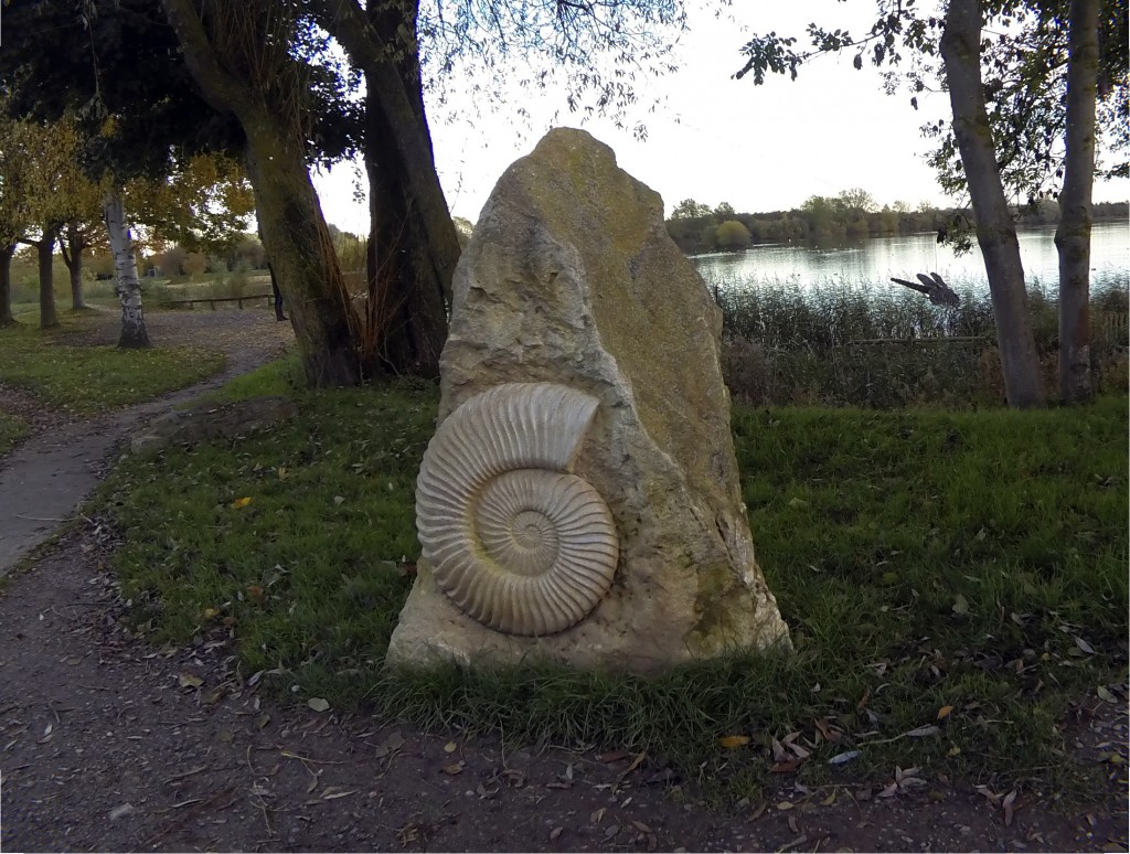 Ammonite sculpture