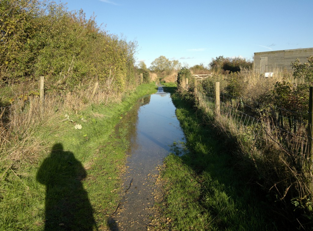 Path turning into stream