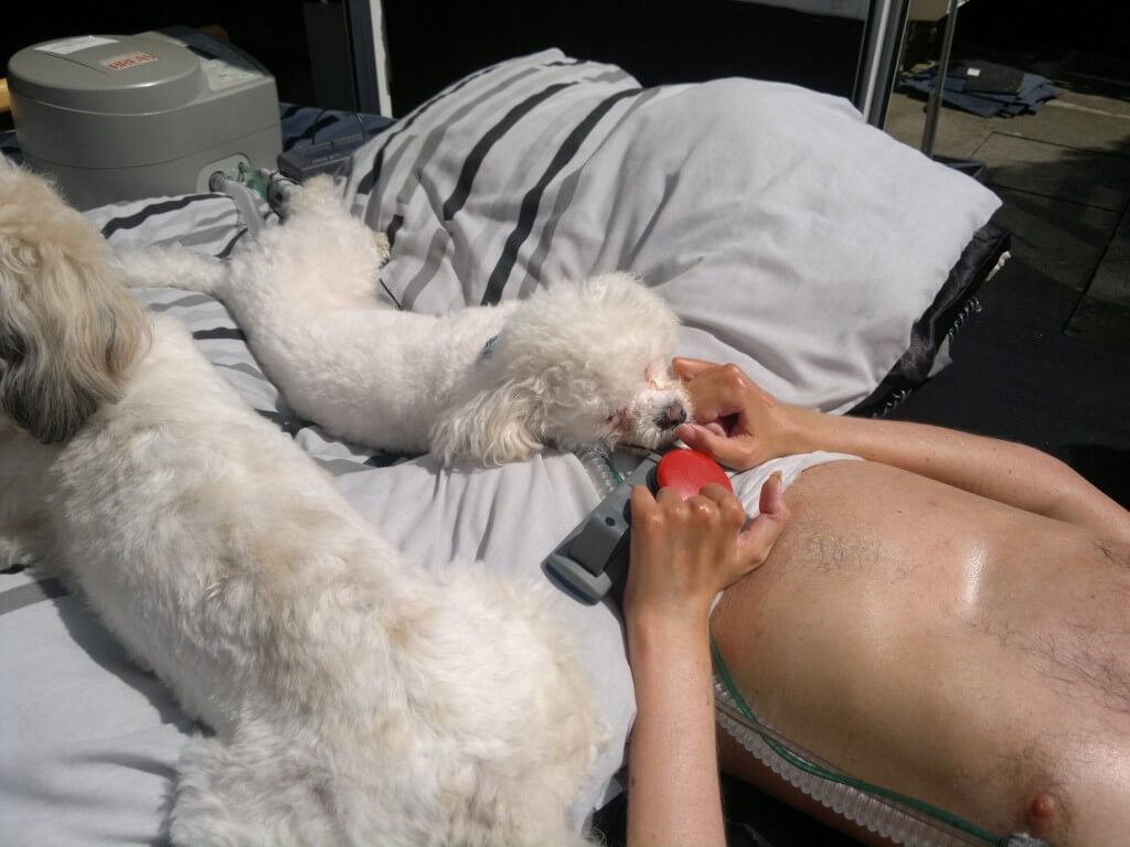 Having some fuss while I sunbathe