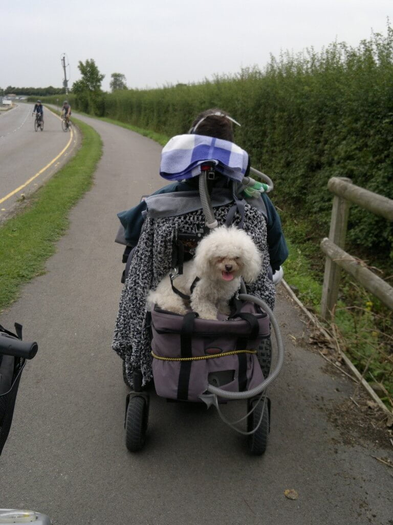 Dexter Hitching a ride at Staverton airport
