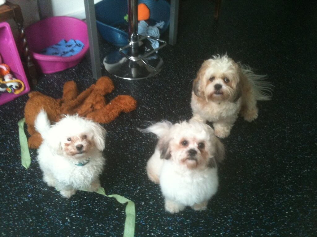 Dexter, Kara and Mya