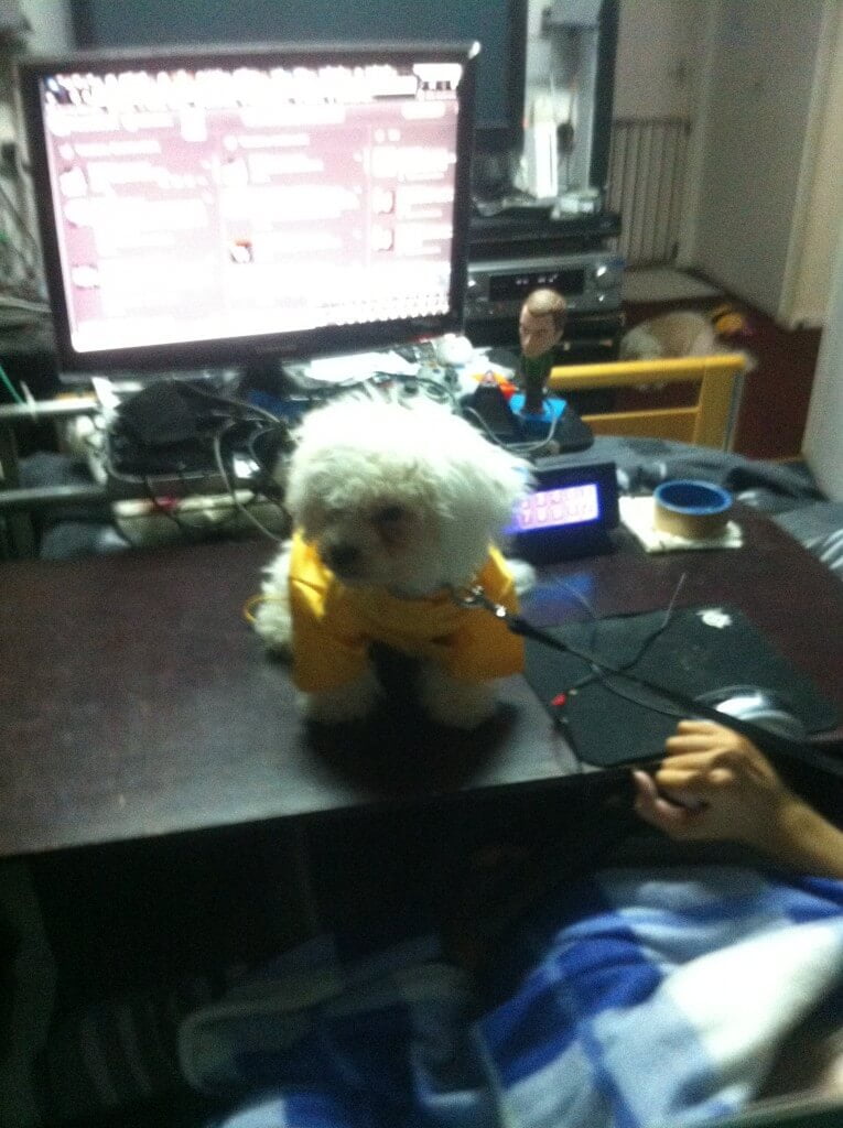 Dexter in his Raincoat