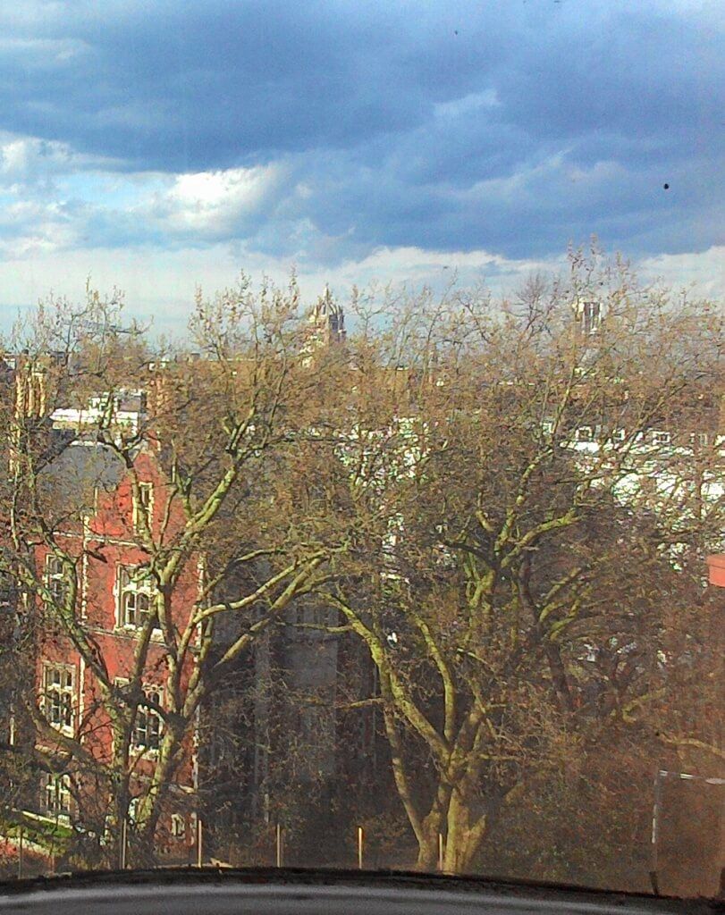 Royal Brompton - Day 1 view from ward window