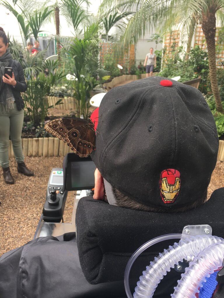A butterfly sitting on Daniel Baker's baseball cap
