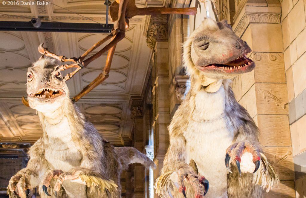 Royal Brompton - Day 6 - animatronic Raptors at the natural history museum