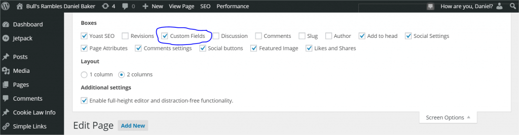 Wordpress screen shot showing location of custom fields