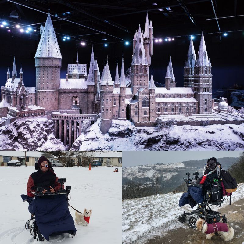a collage of pictures, Hogwarts at Harry Potter World, Daniel Baker in the snow with his chihuahua Peppa, Daniel Baker looking out at the snow from Birdlip with his Cava-Tzu Mya