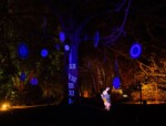 A lit up tree with clocks attached to it and a white rabbit in a suit looking at it at the Sudeley Castle Spectacle of Light