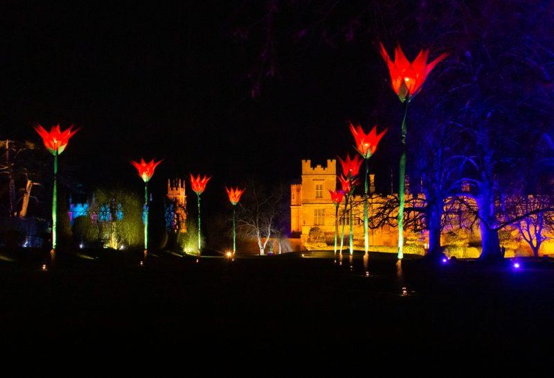 Giant Tulips making a pathway leading to the castle at the Sudley Castle Spectacle of Light