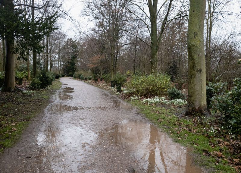 A wet and muddy woodland path in the rain at Croome