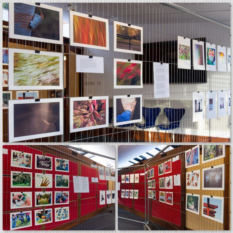 collage showing several photographs from the mindful photography exhibition