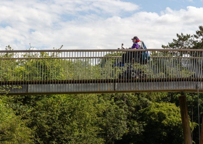 Daniel Baker on a bridge amongst the treetops of westonbirt Arboretum