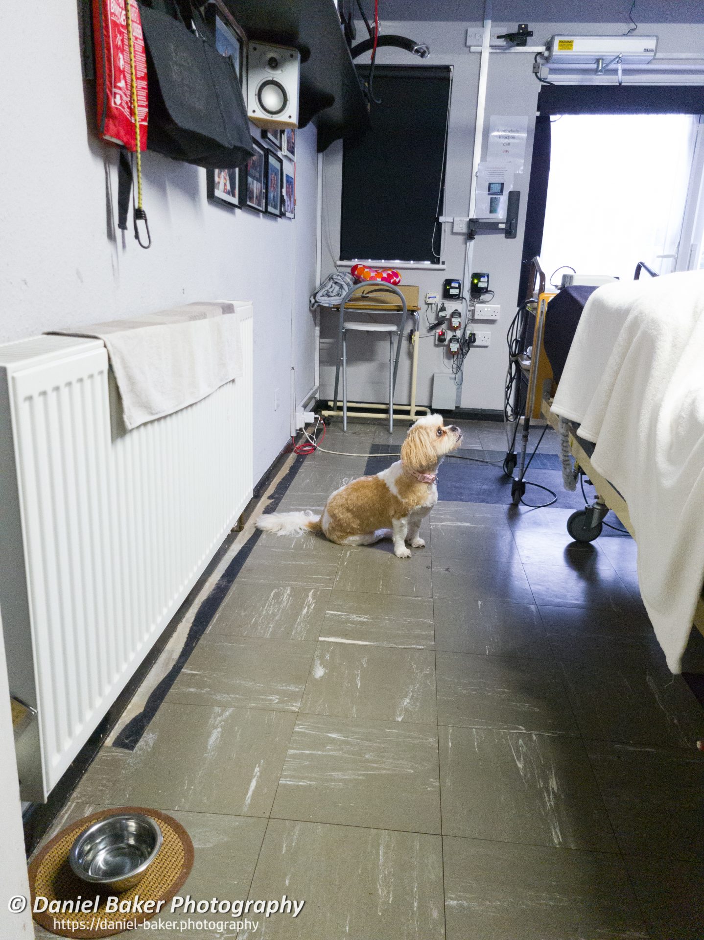 Mya a Cava-Tzu looking upwards Samsung Galaxy S20+ first impressions