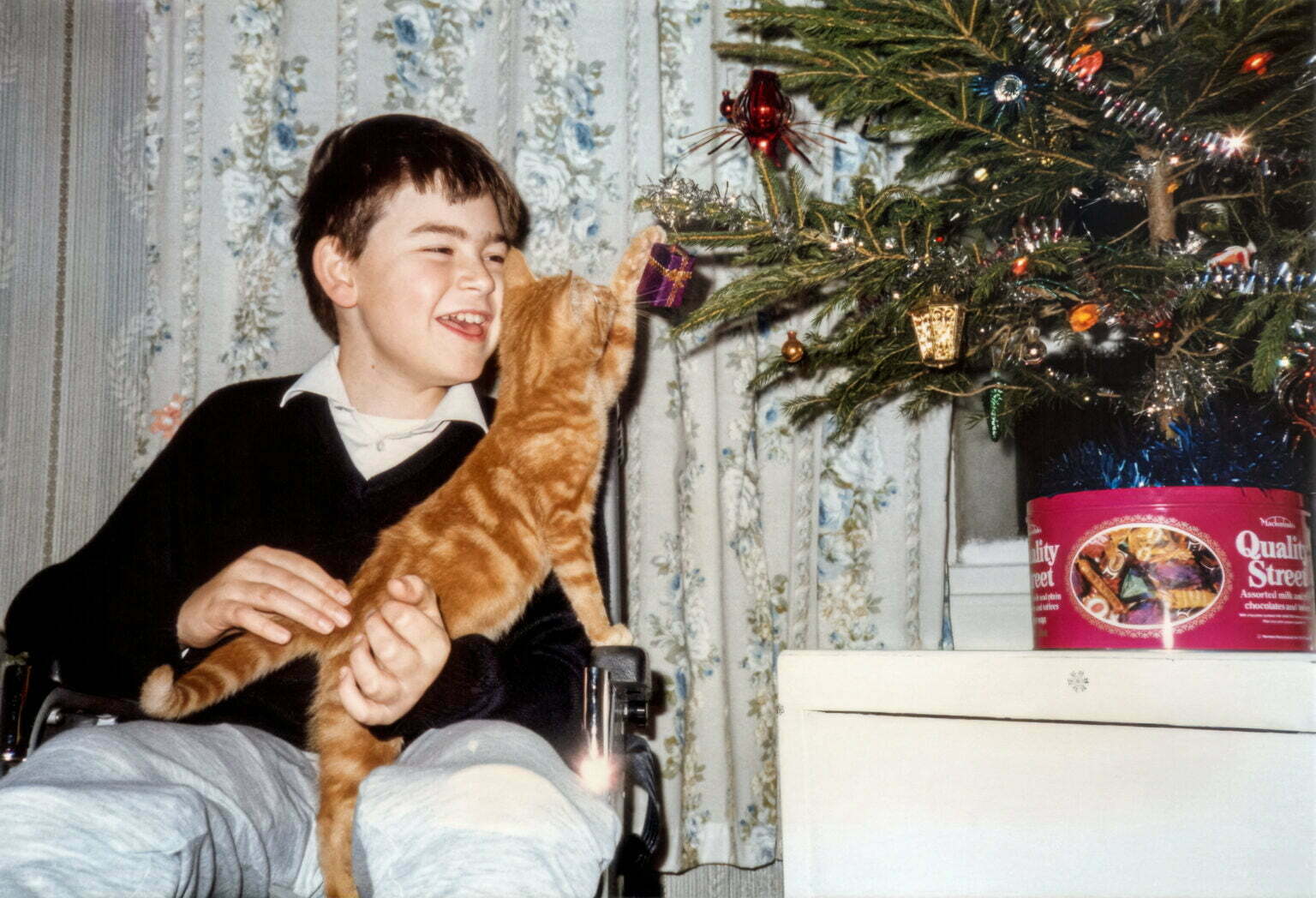 A young Daniel Baker holding a ginger kitten called Poppet which is reaching for a Christmas tree