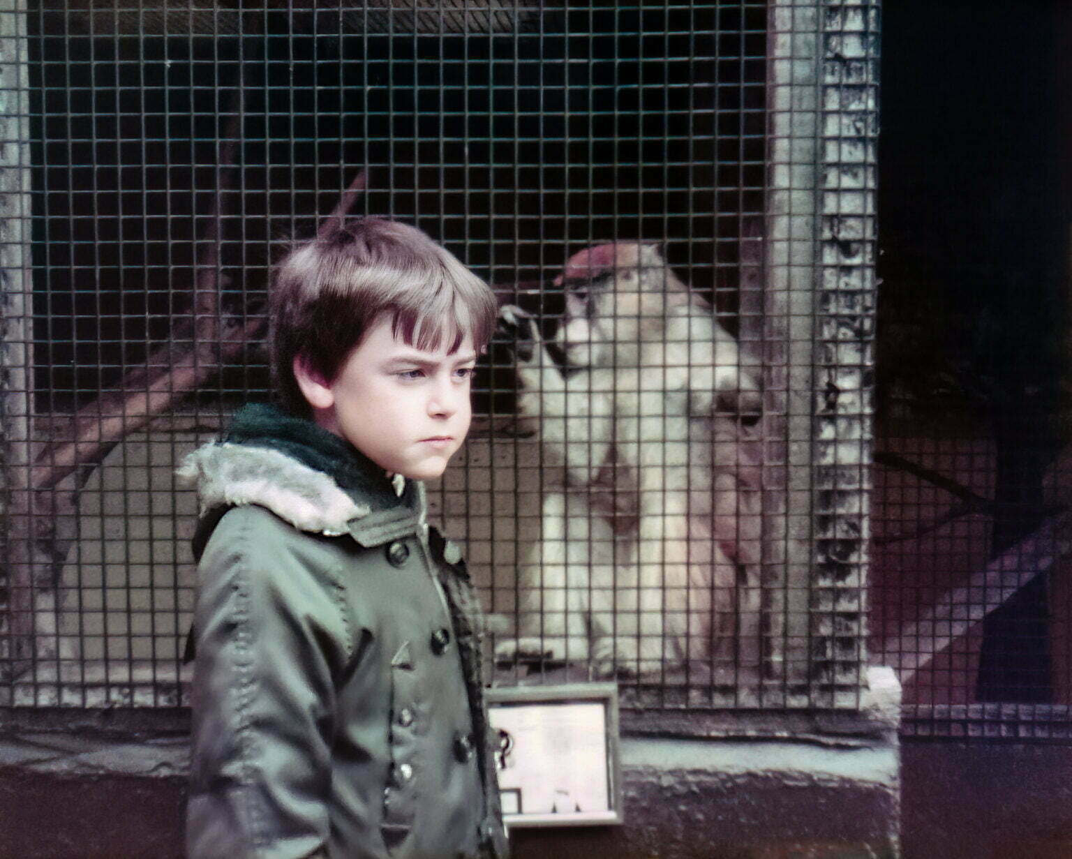 A young Daniel Baker  standing in front of a cage with a monkey looking out at him