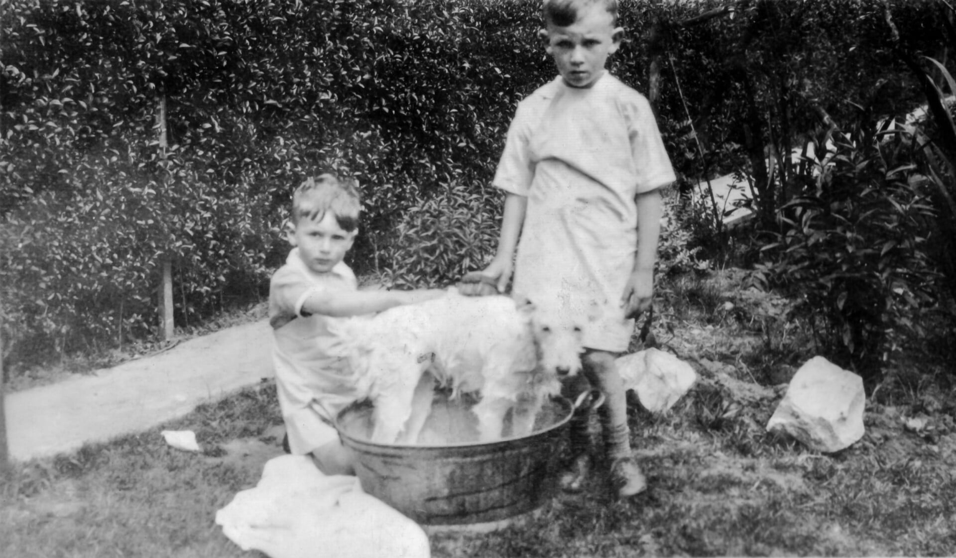 Black and white photo of two children in a garden washing a dog in a tin bath