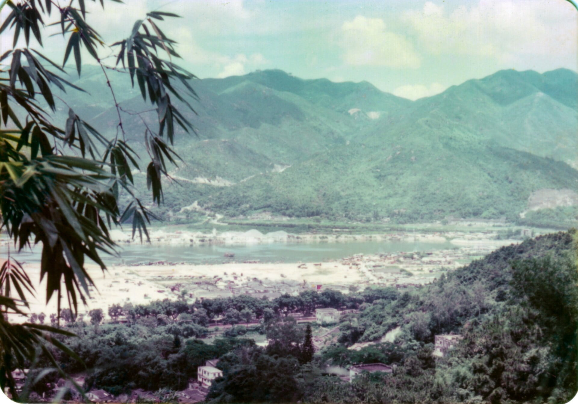 Beautiful view through trees of a sandy bay surrounded by forest